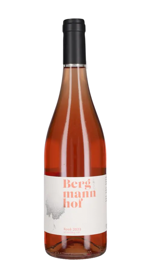 Rosa Bergmannhof 2023