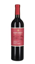 Pinot Nero Conti d'Arco 2023