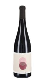 Pinot Nero 'Sophie' Schaal 2024
