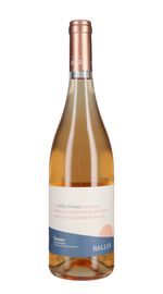 Rosato 'Alba Rosea' Rallo 2025