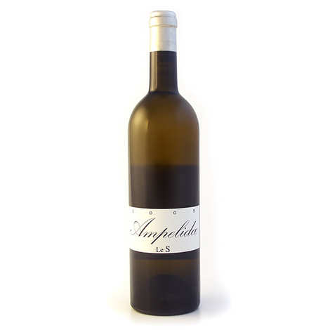Ampelidi - S - 13%