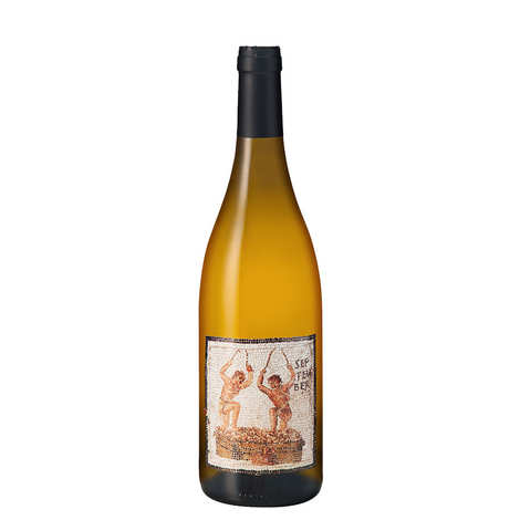 Vino Bianco Biologico e Senza Solfiti Aggiunti - Janus