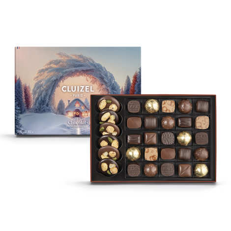 Confezione degustazione grande - Assortimento di 31 cioccolatini Cluizel