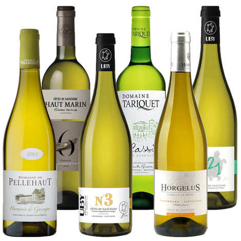 6 vini bianchi secchi e fruttati della Guascogna