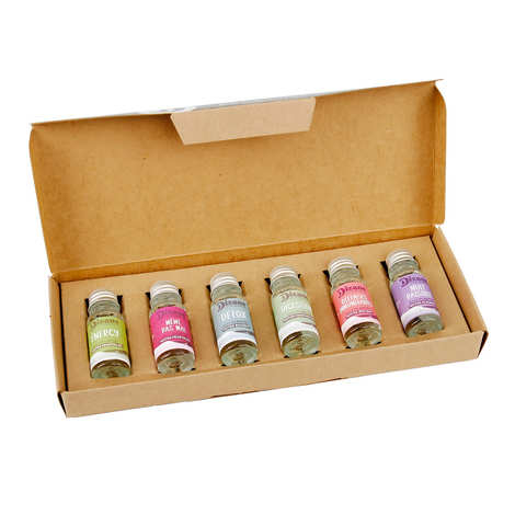 Scatola di scoperta Dizane - 6 miniature di concentrati vegetali biologici da diluire