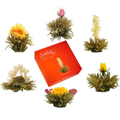 Scatola da 6 fiori di tè bianco
