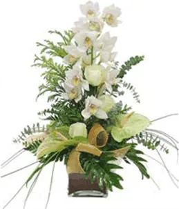 Bianco prezioso (Composizione classica)