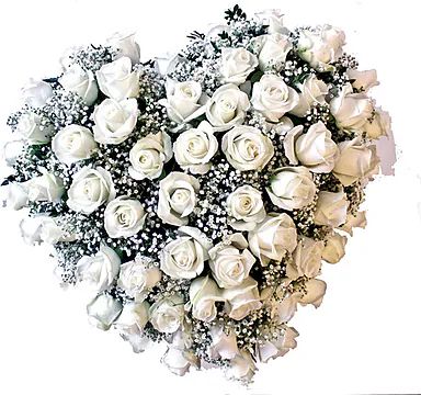 Rose bianche (composizione classica)