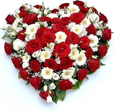 Bianco rosso (Composizione classica)