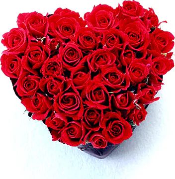 Cuore di fuoco (composizione classica)